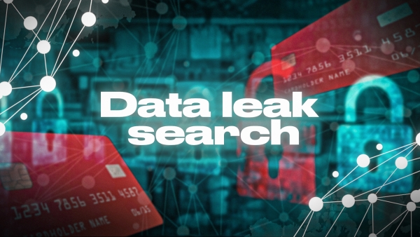 Data leak search