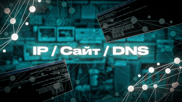 IP / Сайт / DNS